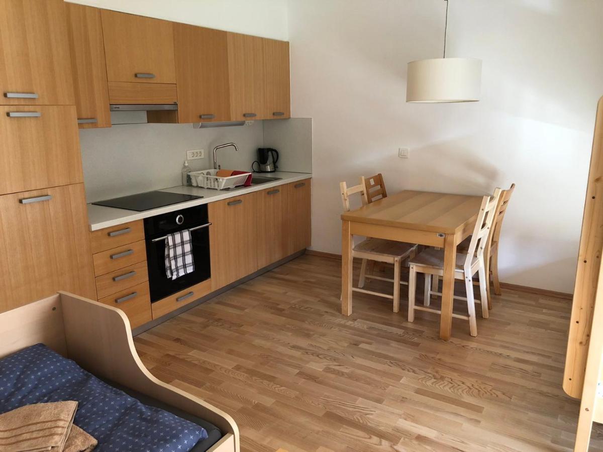 Apartma Runi Pod Zlato Lisico Pekre 외부 사진